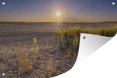 Tuindecoratie Droge woestijn met plantjes fotoprint - 60x40 cm - Tuinposter - Tuindoek - Buitenposter