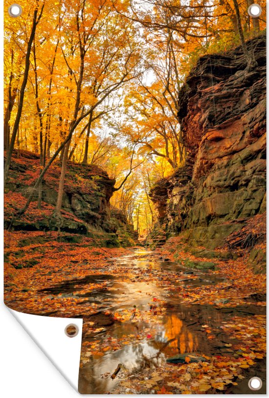 Tuinposters buiten Kreek in de herfst - 60x90 cm - Tuindoek - Buitenposter
