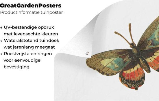 Décoration de jardin Vintage - Papillon - Marron - 60x40 cm - Affiche de jardin - Toile de jardin - Affiche extérieure