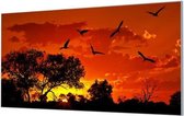 HalloFrame - Schilderij - Vogels Bij Zonsondergang Wand-beugels - Zwart - 100 X 50 Cm