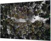 Wandpaneel Bos Natuur Birdseye View  | 100 x 70  CM | Zwart frame | Wand-beugels (27 mm)