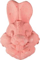 Flamingo Mineraal Liksteen Konijn 80G