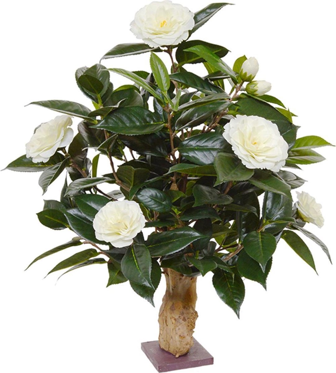 maxifleur Kunstplanten Camelia kunstplant op voet 60cm - creme