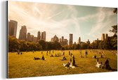 Wanddecoratie Metaal - Aluminium Schilderij Industrieel - New York - Central Park - Lente - 40x20 cm - Dibond - Foto op aluminium - Industriële muurdecoratie - Voor de woonkamer/slaapkamer