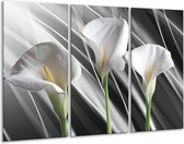 Glasschilderij Bloem - Grijs, Wit, Groen - 120x80cm 3Luik - Foto Op Glas - Geen Acrylglas Schilderij - GroepArt 6000+ Glas Art Collectie - Maatwerk Mogelijk