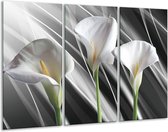 Peinture sur verre fleur | Gris, blanc, vert | 120x80cm 3 Liège | Tirage photo sur verre | F004706