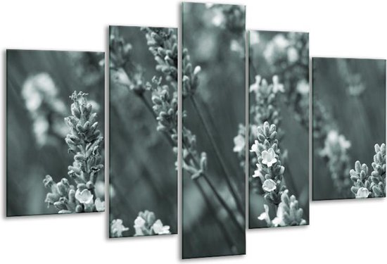 Glas schilderij Bloemen, Lente | Grijs, Groen | | Foto print op Glas |  F006813