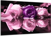Peinture sur verre rose | Violet, blanc, noir | 120x70cm 1Hatch | Tirage photo sur verre |  F003885