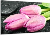 Glasschilderij Tulpen - Roze, Zwart - 120x70cm 1Luik - Foto Op Glas - Geen Acrylglas Schilderij - GroepArt 6000+ Glasschilderijen Art Collectie - Wanddecoratie - Woonkamer - Slaapkamer