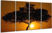 GroepArt - Glasschilderij - Zonsondergang - Zwart, Geel, Oranje - 160x80cm 4Luik - Foto Op Glas - Geen Acrylglas Schilderij - 6000+ Glasschilderijen Collectie - Wanddecoratie