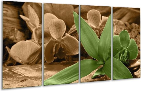 Peinture sur verre d'orchidée | Vert, marron | 160x80cm 4 Liège | Tirage photo sur verre |  F004506