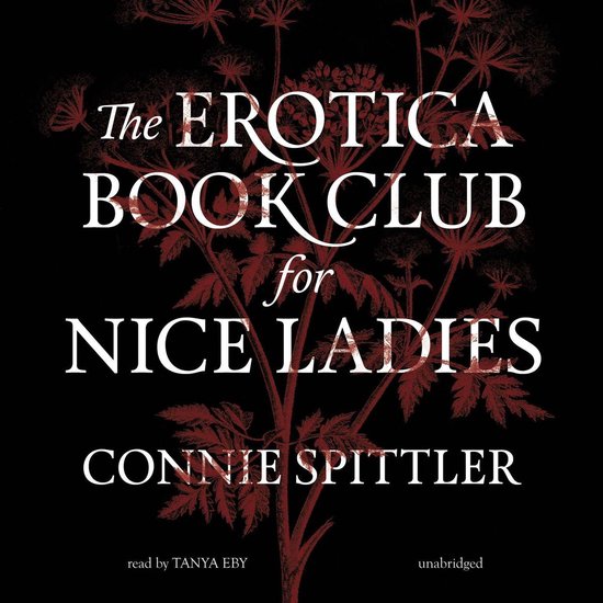 The Erotica Book Club for Nice Ladies - cover