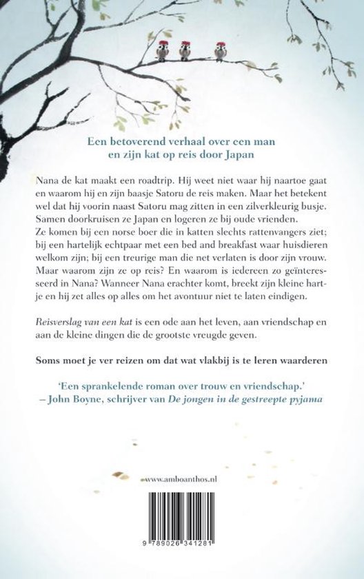 Reisverslag van een kat