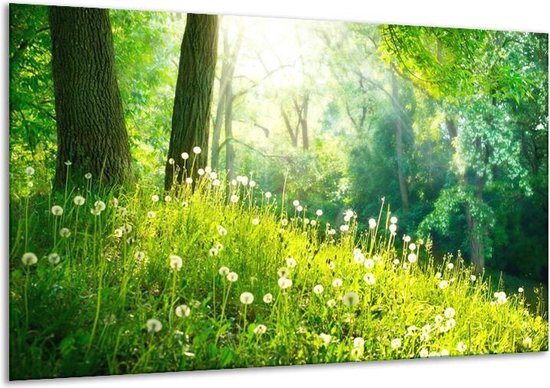 Schilderij Op Canvas Natuur - Groen - 120x70cm 1Luik - Foto Op Canvas - GroepArt 6000+ Schilderijen 0p Canvas Art Collectie - Wanddecoratie - Woonkamer - Slaapkamer - Canvas Print