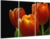 Peinture sur toile Tulipes | Rouge, jaune, orange | 120x80cm 3 Liège