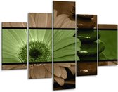 Glasschilderij Bloem | Groen, Bruin | 100x70cm 5Luik | Foto print op Glas |  F004472