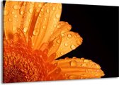 Peinture sur toile Fleur | Noir, orange | 140x90cm 1 Liège