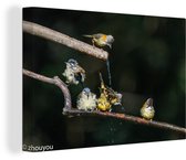 Peintures sur Toile Vogel - Branche - Water - 30x20 cm - Décoration murale