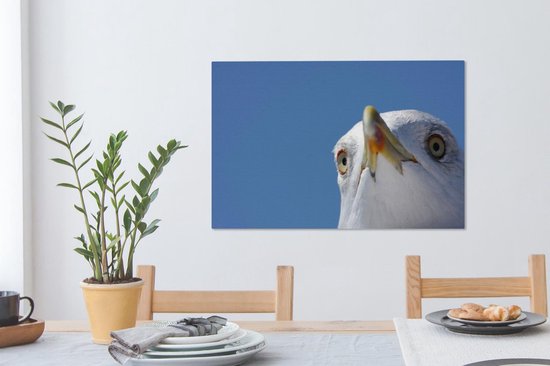 Gros plan de mouette 90x60 cm - Tirage photo sur toile (Décoration murale salon / chambre)
