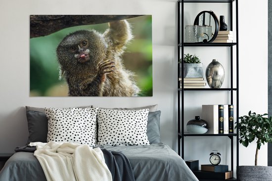 Ouistiti pygmée tirant la langue sur toile 2cm 140x90 cm - Tirage photo sur toile (Décoration murale salon / chambre) / Animaux sauvages Peintures sur toile