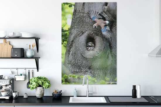 Jay avec un hibou 90x140 cm - Tirage photo sur toile (Décoration murale salon / chambre)