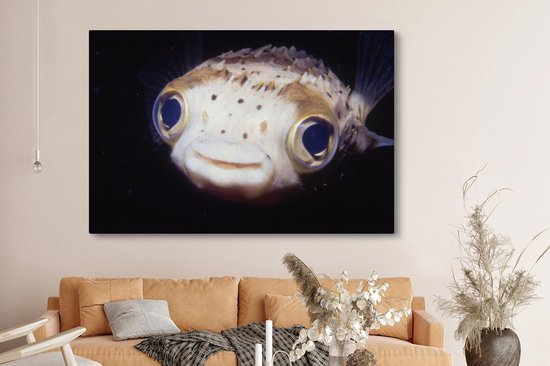 Gros plan poisson-globe 180x120 cm - Tirage photo sur Toile (Décoration murale salon / chambre) / Animaux sauvages Peintures sur toile XXL / Groot format!
