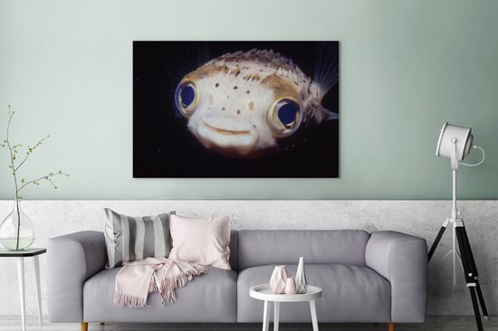 Gros plan poisson-globe 180x120 cm - Tirage photo sur Toile (Décoration murale salon / chambre) / Animaux sauvages Peintures sur toile XXL / Groot format!