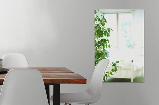 Toile végétale 2cm dans la maison