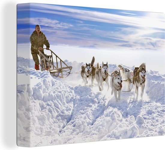 Canvas Schilderij Siberische Husky's voor slee - 40x30 cm - Wanddecoratie