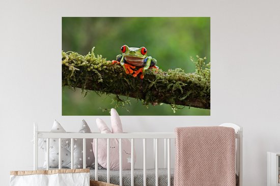 Stickers Stickers muraux - Grenouille aux yeux rouges sur une branche couverte - 90x60 cm - Film adhésif