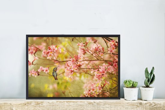 Photo encadrée - Colibri sur une branche d'arbre avec des fleurs roses printanières cadre photo noir 60x40 cm - Affiche encadrée (Décoration murale salon / chambre)