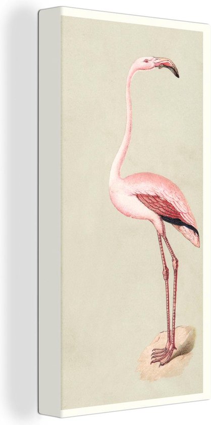 Canvas Schilderij Antieke vogelprent flamingo - 40x80 cm - Wanddecoratie