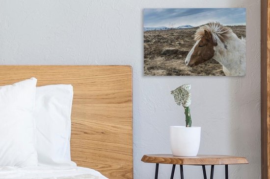 Portrait d'un brun cheval blanc 30x20 cm Islandaise - petit - impression photo sur toile peinture (Décoration murale salon / chambre à coucher) / Animaux sauvages Peintures Toile