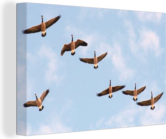 Canvas Schilderij Canadese ganzen - Lucht - Vogels - 60x40 cm - Wanddecoratie