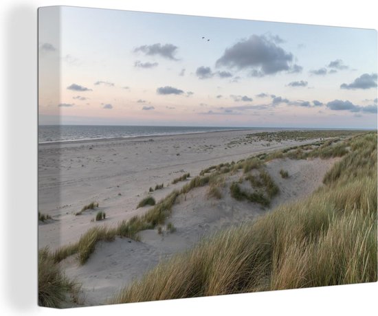 Schilderijen - Het strand de duinen van Ameland - cm - | bol.com
