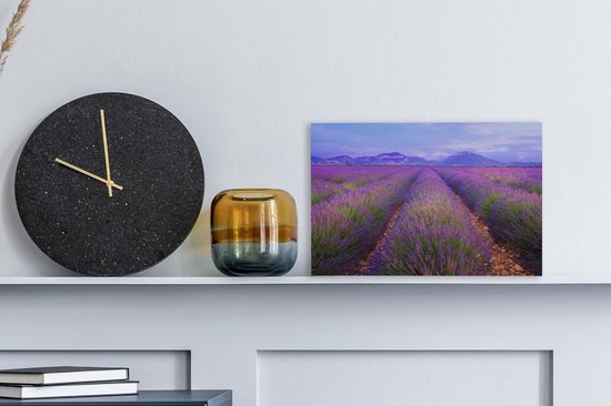 Rangées de toile de lavande 30x20 cm - petit - Tirage photo sur toile (Décoration murale salon / chambre)