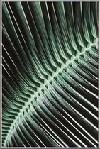 JUNIQE - Poster met kunststof lijst Curved Palm -13x18 /Groen