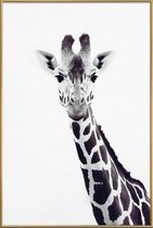 JUNIQE - Poster met kunststof lijst Giraffe -13x18 /Grijs & Wit