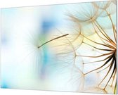 Wandpaneel Paardenbloem  | 150 x 100  CM | Zwart frame | Wandgeschroefd (19 mm)