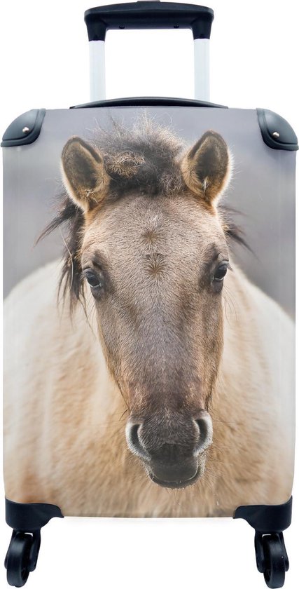 Koffer - Paarden - Portret - Camera - Past binnen 55x40x20 cm en 55x35x25  cm -... | bol.com