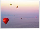 Acrylglas - Luchtballonnen in de Lucht - 40x30cm Foto op Acrylglas (Met Ophangsysteem)