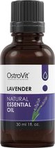 Levender Natural Essential Oil - 30ml - OstroVit