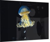 Blauw gele kwal - Foto op Plexiglas - 90 x 60 cm