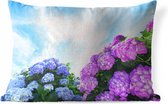 Buitenkussens - Tuin - Hortensia voor blauwe lucht - 60x40 cm