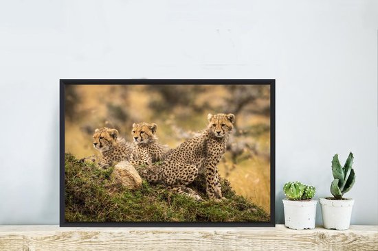Photo dans le cadre - Gros plan de léopards sur fond flou Cadre photo noir sans passe-partout 60x40 cm - Affiche sous cadre (Décoration murale salon / chambre)