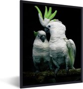 Fotolijst incl. Poster - Groen gekleurde kaketoes met een zwarte achtergrond - 30x40 cm - Posterlijst
