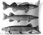 Buitenkussens - Tuin - Een illustratie van drie vissen - 40x40 cm