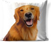 Buitenkussens - Tuin - Portretfoto van een goudbruine Golden Retriever - 45x45 cm