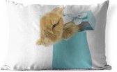 Buitenkussens - Tuin - Baby konijn in een kleine geschenkdoos - 60x40 cm