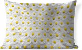 Buitenkussens - Tuin - Een bloemdessin van madeliefjes - 50x30 cm